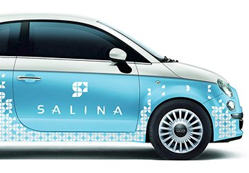 Salina Products — фирменный стиль