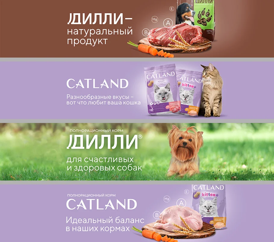 dilli catland создание сайта