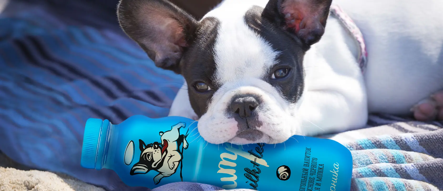 jumpo-02.jpg jumpo-02.jpg