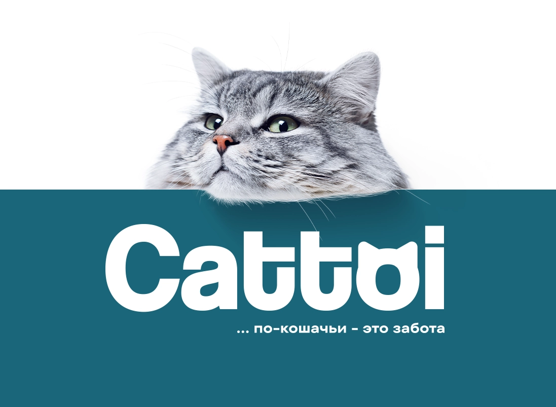 Cattoi — A.STUDIO Брендинговое агентство
