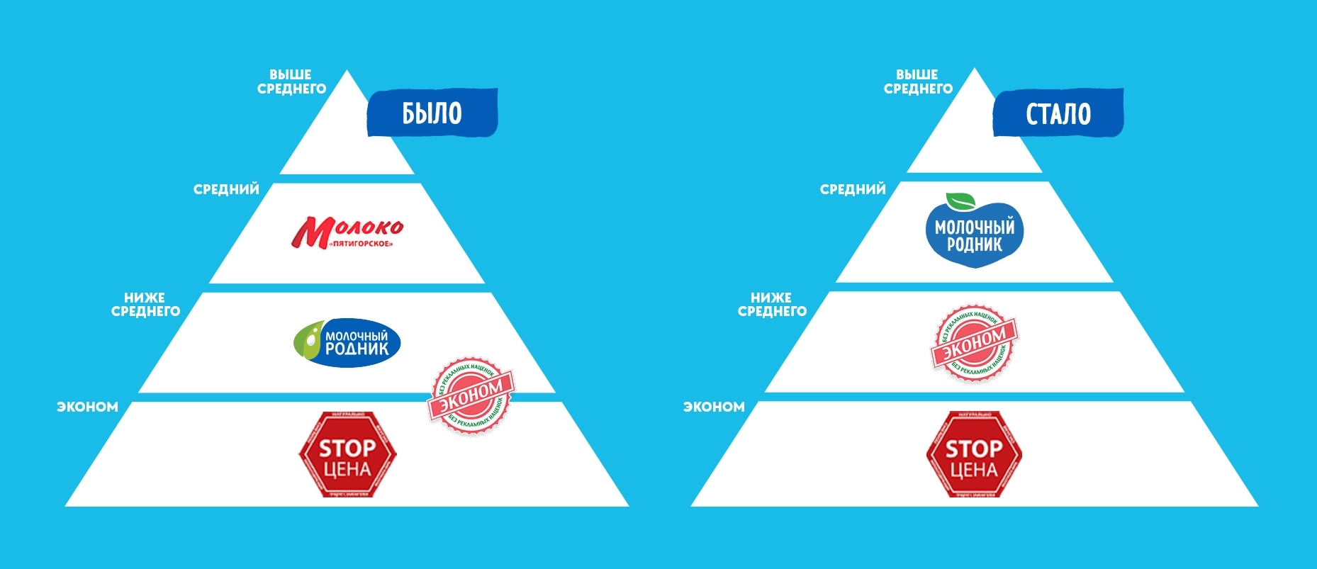 molrod-Аналитика 1.webp