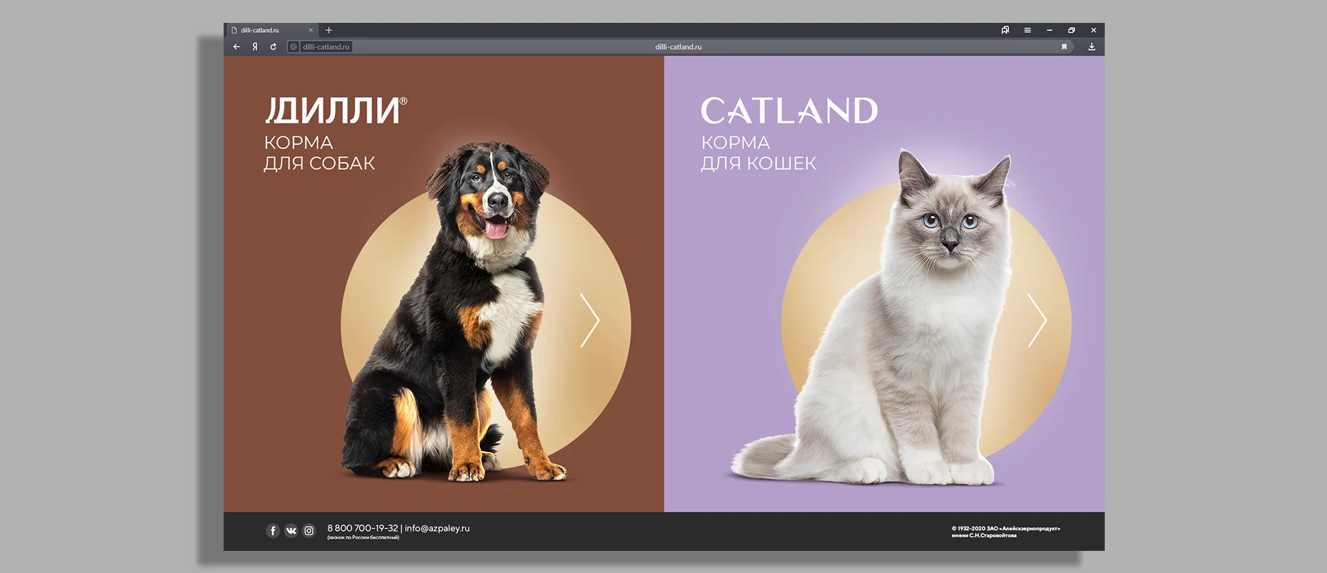 dilli catland создание сайта